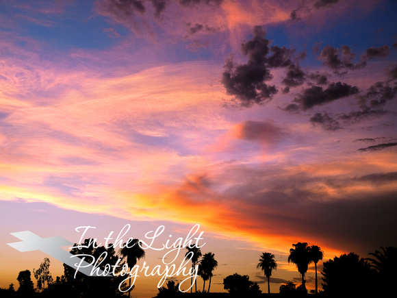 Arizona Sunset Palm Silhouettes