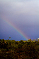 Rainbow Between Cacti
