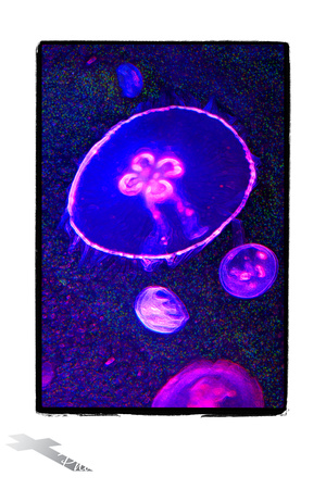 Glowing Purple Jellyfish