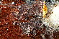6E9A6877