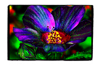 Purple Alien Flower