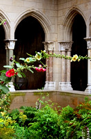 Hollyhocks at the Cloisters